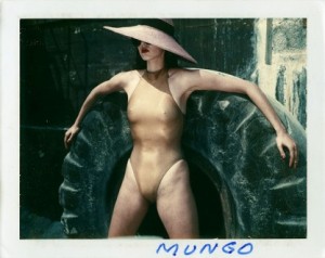 Newton_Polaroids_1